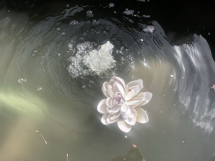 Collection thumbnail