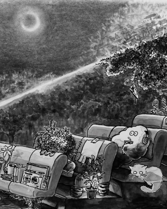 Collection thumbnail