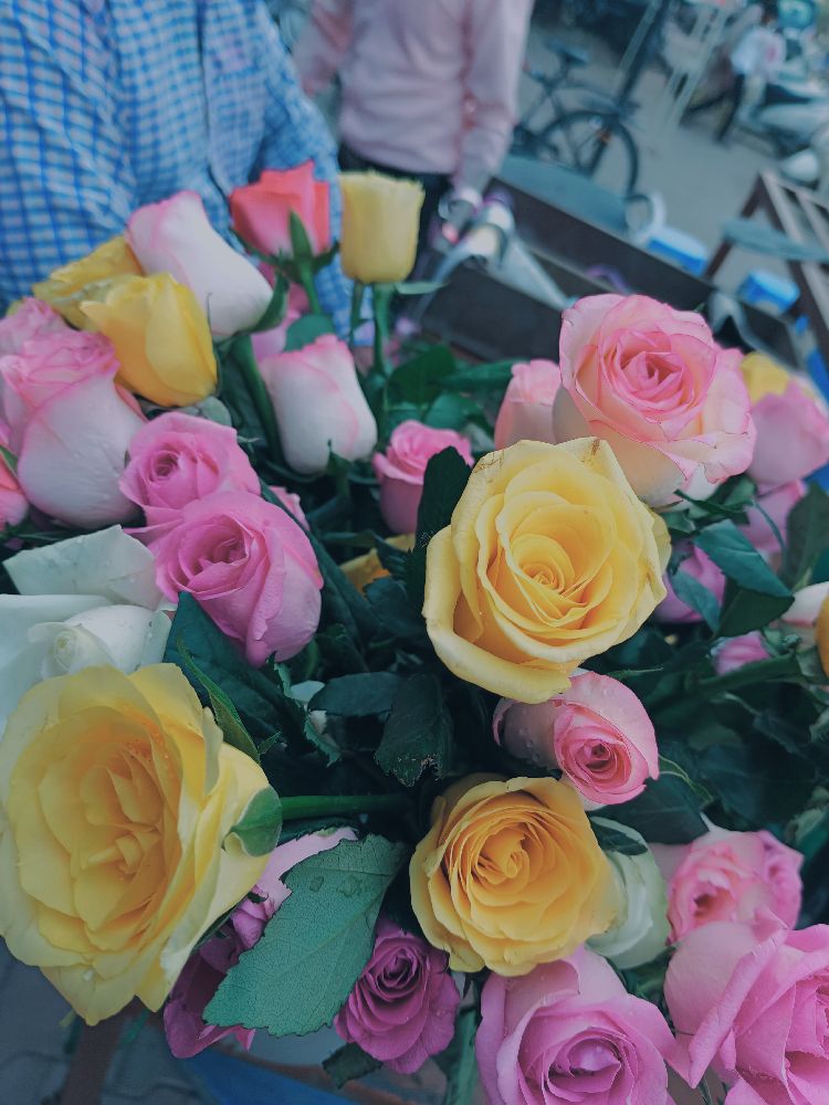 Collection thumbnail