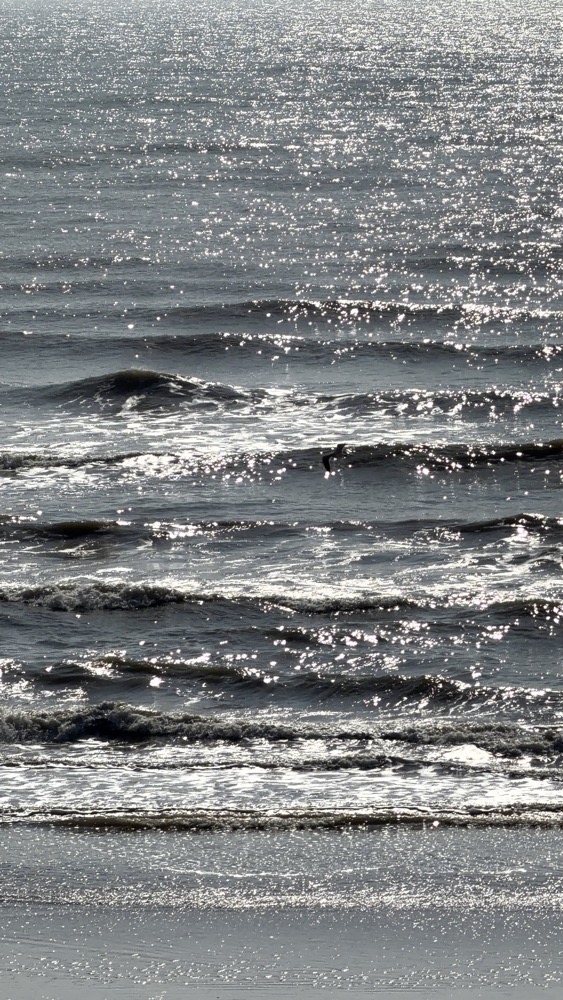 Collection thumbnail