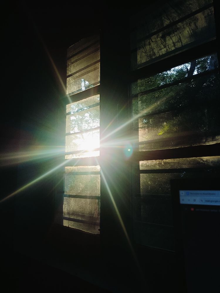 Collection thumbnail