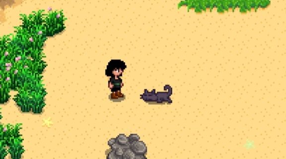 Collection thumbnail