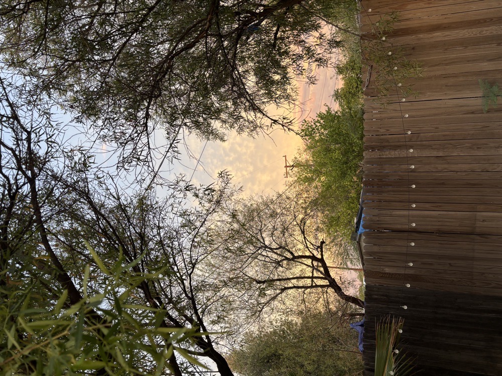 Collection thumbnail