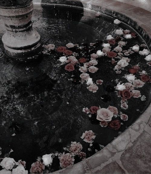 Collection thumbnail