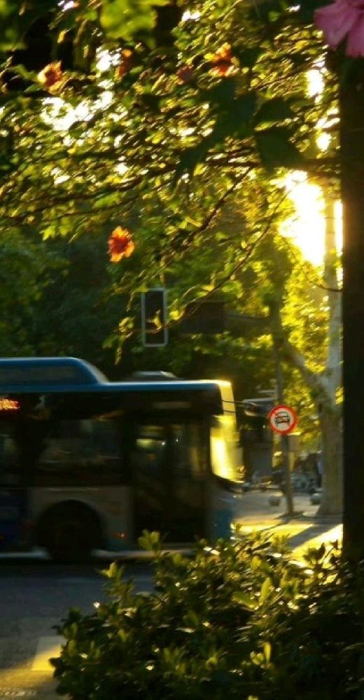 Collection thumbnail