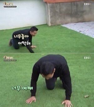 Collection thumbnail