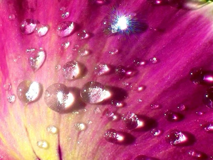 Collection thumbnail